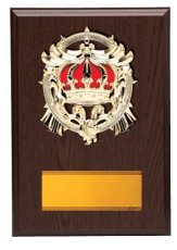表彰盾 名入れ Gold Star D045 C（300×210mm）
