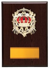 表彰盾 名入れ Gold Star D045 E（230×170mm）