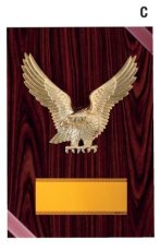 表彰盾 名入れ Gold Star D046 C（300×210mm）
