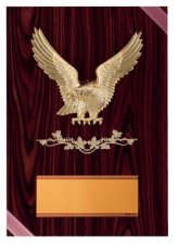 表彰盾 名入れ Gold Star D046 I（140×100mm）
