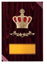 表彰盾 名入れ Gold Star D047 B（340×240mm）