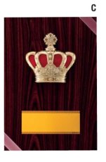 表彰盾 名入れ Gold Star D047 C（300×210mm）