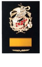 表彰盾 名入れ Gold Star D048 D（260×190mm）