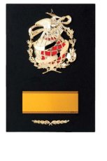 表彰盾 名入れ Gold Star D048 G（180×120mm）