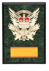 表彰盾 名入れ Gold Star D049 C（300×210mm）
