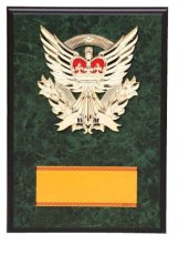 表彰盾 名入れ Gold Star D049 G（180×120mm）
