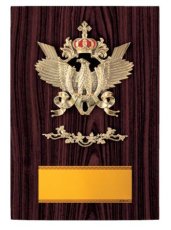 表彰盾 名入れ Gold Star D050 C（300×210mm）
