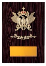 表彰盾 名入れ Gold Star D050 H（160×110mm）