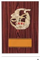 表彰盾 名入れ Gold Star D051 C（300×210mm）