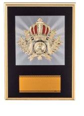 表彰盾 名入れ Gold Star D052 F（210×150mm）