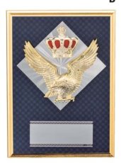表彰盾 名入れ Gold Star D053 F（210×150mm）