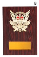 表彰盾 名入れ Gold Star D054 B（340×240mm）