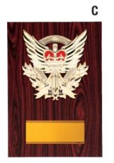表彰盾 名入れ Gold Star D054 C（300×210mm）