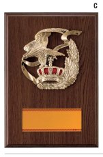 表彰盾 名入れ Gold Star D055 C（300×210mm）