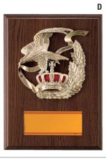 表彰盾 名入れ 社内表彰・周年記念 Gold Star D055 D（260×190mm）