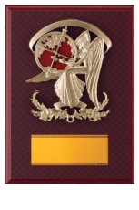 表彰盾 名入れ Gold Star D056 D（260×190mm）