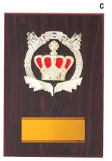 表彰盾 名入れ Gold Star D057 G（180×120mm）