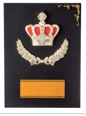 表彰盾 名入れ Gold Star D058 H（160×110mm）