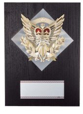 表彰盾 名入れ Gold Star D059 D（260×190mm）