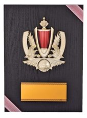 表彰盾 名入れ Gold Star D061 F（210×150mm）