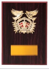 表彰盾 名入れ Gold Star D062 D（260×190mm）