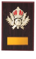 表彰盾 名入れ Gold Star D063 G（180×120mm）