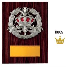 表彰盾 名入れ Gold Star D065 E（230×170mm）