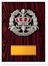 表彰盾 名入れ Gold Star D065 I（140×100mm）