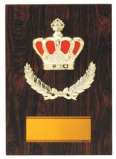 表彰盾 名入れ Gold Star D066 F（210×150mm）