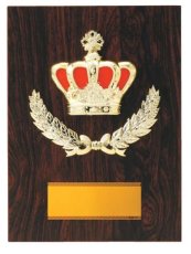 表彰盾 名入れ Gold Star D066 J（110×85mm）