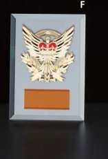 ガラス・アクリル 表彰盾 名入れ Gold Star D068 F（210×150mm）