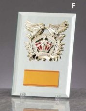 ガラス・アクリル 表彰盾 名入れ Gold Star D069 F（210×150mm）