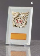ガラス・アクリル 表彰盾 名入れ Gold Star D069 G（180×120mm）