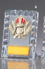 ガラス・アクリル 表彰盾 名入れ Gold Star D070 A（160×120mm）