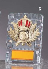 ガラス・アクリル 表彰盾 名入れ Gold Star D070 C（130×95mm）