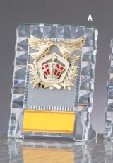 ガラス・アクリル 表彰盾 名入れ Gold Star D071 A（160×120mm）
