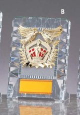 ガラス・アクリル 表彰盾 名入れ Gold Star D071 B（145×110mm）