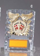 ガラス・アクリル 表彰盾 名入れ Gold Star D071 C（130×95mm）