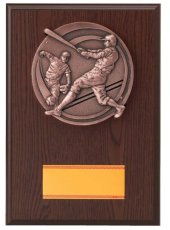 野球 表彰盾 名入れ Gold Star D075 C（300×210mm）