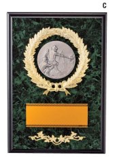 野球 表彰盾 名入れ Gold Star D077 C（300×210mm）