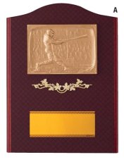 野球 表彰盾 名入れ Gold Star D078 A（300×225mm）