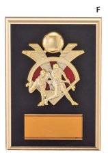 野球 表彰盾 名入れ Gold Star D081 F（210×150mm）