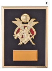 野球 表彰盾 名入れ Gold Star D081 G（180×120mm）