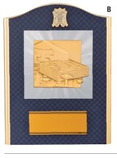 将棋・囲碁 表彰盾 名入れ Gold Star D084 D（210×160mm）