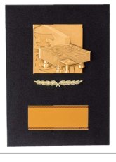 将棋・囲碁 表彰盾 名入れ Gold Star D085 D（260×190mm）