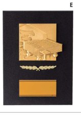 将棋・囲碁 表彰盾 名入れ Gold Star D085 E（230×170mm）