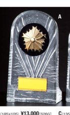 警察・消防 表彰盾 名入れ Gold Star D089 A（185×105mm）