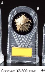 警察・消防 表彰盾 名入れ Gold Star D089 B（160×90mm）