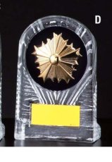 警察・消防 表彰盾 名入れ Gold Star D089 D（130×85mm）