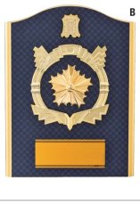 警察・消防 表彰盾 名入れ Gold Star D090 B（270×205mm）